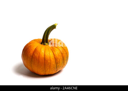 Les petites citrouilles isolé sur fond blanc, Thanksgiving résumé Banque D'Images