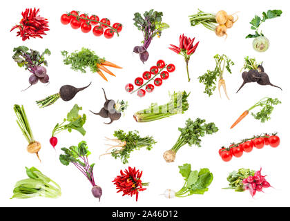 Divers légumes mûrs en bottes et avec des greens isolé sur fond blanc Banque D'Images