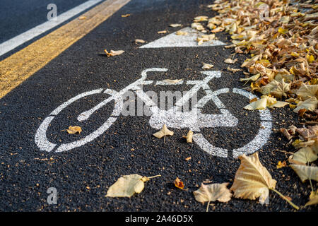 Piste cyclable sur le côté de la route de la ville à l'automne Banque D'Images