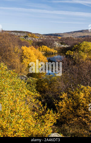 Ancien champ de lave volcanique à Bifrost en Islande à l'automne sur la route 1 Banque D'Images