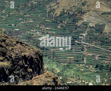 LADERAS CULTIVADAS. Lieu : extérieur. Gomera. Banque D'Images