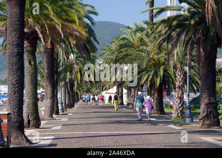 Les gens qui marchent sur le Palm Tree Lined Viale Italia, promenade à La Spezia, Italie, de l'Union européenne. Banque D'Images