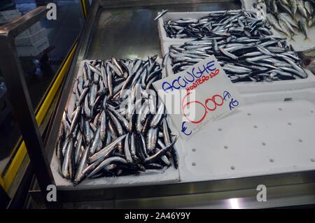 Anchois frais (Acciughe) à partir de Monterosso sur l'affichage sur un étal de poisson dans la piscine extérieure de la place du marché à La Spezia, Italie, de l'Union européenne. Banque D'Images