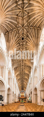 Cathédrale, Norwich, Norfolk, England, UK Banque D'Images