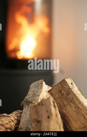 Bois de feu en face de burning stove Banque D'Images