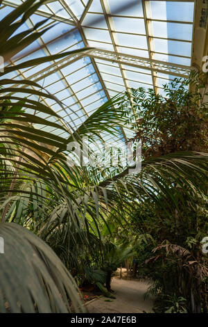 Jardin d'intérieur à Ciutadella Park Banque D'Images