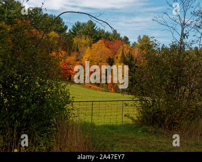 Québec,Canada. Couleurs d'automne sur la ferme à Rawdon, Québec. Banque D'Images