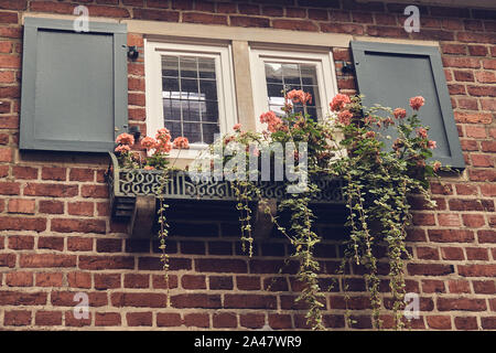 Fenêtre dans un mur de brique avec des fleurs roses sur un rebord de fenêtre Banque D'Images