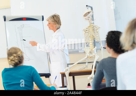 Les étudiants de médecine de l'examen de modèle anatomique en classe Banque D'Images