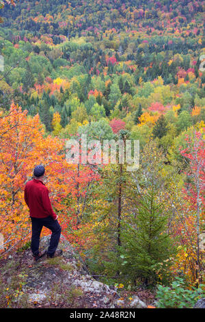 Randonneur sur barre rocheuse à pic vers le bas au beau feuillage d'automne dans le nord du New Hampshire, début octobre, deuxième d'une université Grant Banque D'Images