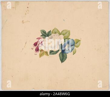 Arrangement floral avec White Rose, fuchsia, et petunia Banque D'Images