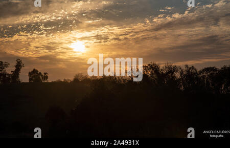 En fin d'après-midi et soir dans le biome Pampa sur la frontière entre le Brésil et l'Uruguay. Biome Pampa. Les couleurs orange et rouge du soleil couchant que fin Banque D'Images