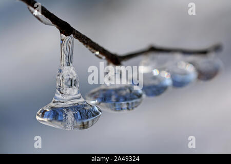 Close up de glaçons sur une branche gelée sur la surface de l'eau d'une rivière, abstract abstract Banque D'Images