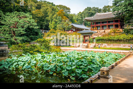 Sur le jardin secret Huwon au Palais Changdeokgung avec vue sur étang et Buyongji Juhamnu Pavilion à Séoul en Corée du Sud Banque D'Images