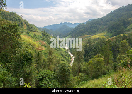 Vert, brun, jaune et golden rice terrace champs de Mu Cang Chai, au nord-ouest du Vietnam Banque D'Images