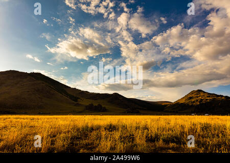 Le soleil se couche en Mongolie , Sunset Paysage photographie dans la steppe mongole à Arhangai-Aimag. Ciel bleu avec nuages blancs et steppe jaune Banque D'Images