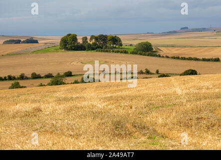 Paysage de champs Chalk downland chaume à West Kennet long barrow au Moyen-Orient, Wiltshire, England, UK Banque D'Images