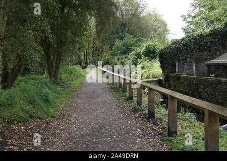 Une allée d'arbres et d'une clôture en bois avec ruisseau et shrubes leeding forestiers et de l'usine de rivière Barrage Banque D'Images