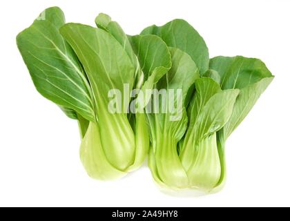 Les légumes verts frais délicieux, Bok choy, Pok Choi ou Pak choi isolé sur fond blanc. Banque D'Images