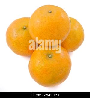 Quatre Oranges Douces et mûres sur une table en bois, l'Orange est le fruit de l'espèce Citrus isolé sur fond blanc. Banque D'Images