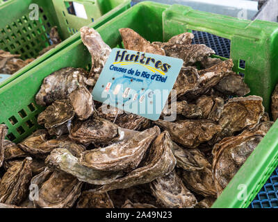 Huîtres de Bretagne MARCHÉ FRANÇAIS 4,50€ Ria d'Etel Bretagne région ostréicole Huitres creuses huîtres rock bombée peu coûteux en Bretagne France Bretagne Concarneau Marché aux poissons Banque D'Images