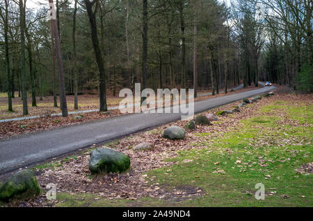 Voiture roule sur une étroite route asphaltée passant à travers une belle forêt, à un virage, la route est bordée de grosses pierres, et il y a un trottoir Banque D'Images