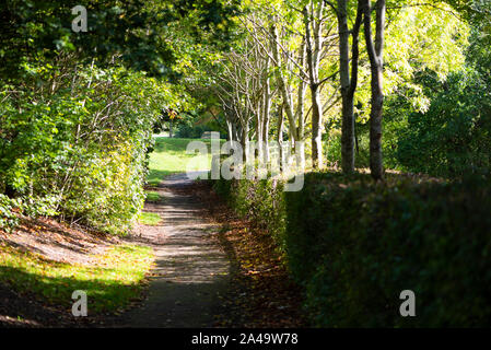 Pathway à Milton Keynes, près de Shenley Bois, au début de l'automne Banque D'Images