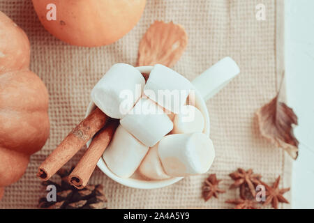 Potiron avec tasses de café. Chocolat chaud avec des guimauves, cannelle. Vue de dessus Banque D'Images