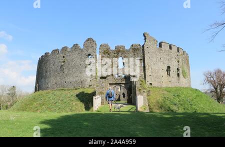 Restormel Château 190415 Banque D'Images