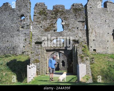 Restormel Château 190415 Banque D'Images