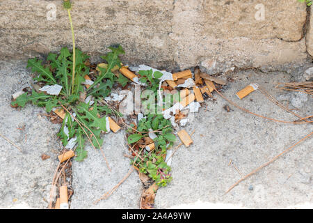 Déchets liés aux fumeurs dans les rues de Bedoin, Provence, France. Banque D'Images