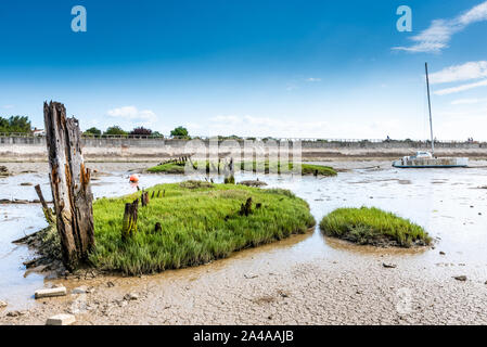 Le cimetière de bateaux de Noirmoutier. Seulement un carré de vert reste de l'épave d'un vieux bateau de pêche en bois. Banque D'Images