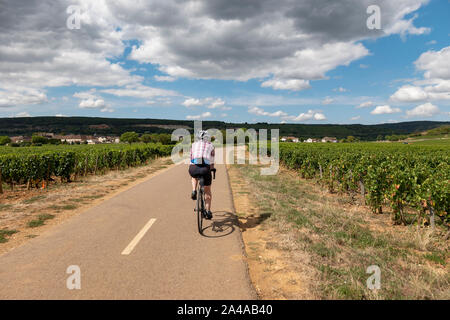 La tournée cycliste féminine Cote de Beaune wine route, Bourgogne, France. Banque D'Images