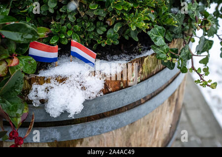 Deux petits drapeaux des Pays-Bas sont définis dans la neige, dans un vieux tonneau en bois avec des plantes vertes. Close-up. Banque D'Images