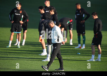 Krasimir Balakov gestionnaire de la Bulgarie lors d'une séance de formation à l'occasion du stade national de Vasil Levski, Sofia. Banque D'Images