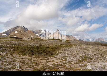 Parker Ridge Trail et Mont Athabasca et Hilda Peak dans l'arrière-plan, le Canada Banque D'Images