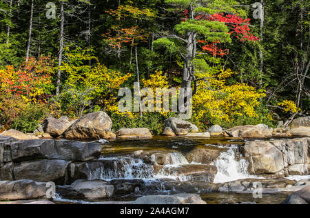 Arbres d'automne colorés, feuilles scène dans la forêt nationale de White Mountain, New Hampshire, New England Trees USA, l'Amérique pittoresque inspiration américaine Banque D'Images