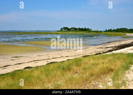 Bassin d'Arcachon à marée basse à Andernos-les-bains, commune française est un situé sur la rive nord-est de la Baie d'Arcachon, dans le département de la Gironde et la France Banque D'Images