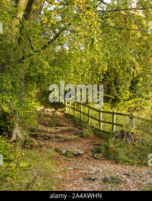 Sentier sur High Tor dans Matlock Derbyshire - Automne Banque D'Images