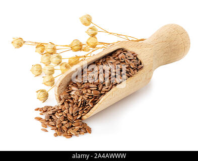 Lin dans scoop en bois avec des capsules de graines sèches isolé sur fond blanc Banque D'Images