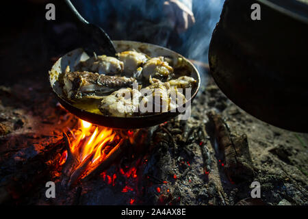 Un homme frites dans une casserole, sur le feu, les poissons capturés à la lumière d'une lampe de poche, un soir d'été, dans la forêt. Close-up. Banque D'Images