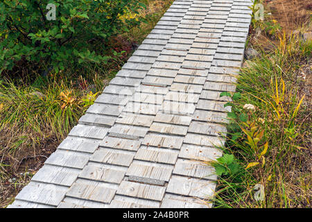 Piste en bois gris pâle sur la pelouse. Chemin chemin sur pelouse. La demande faite à partir de planches en bois. Banque D'Images