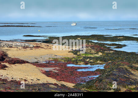 Plage avec rack de la commune Le Vieil sur l'île de Noirmoutier en l'Ile dans les pays de la Loire, région de l'ouest de la France Banque D'Images