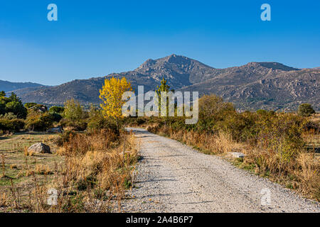 Paysage du Parc National de Guadarrama près de Madrid avec les premières feuilles de couleur vive au début de l'automne. Espagne Banque D'Images