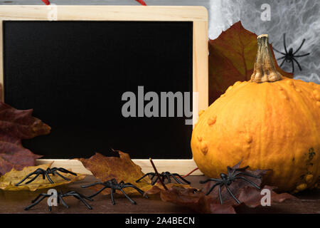 Halloween citrouille orange avec de la craie blanche blackboard with copy space. Automne feuilles colorées, les araignées et d'araignée. Banque D'Images