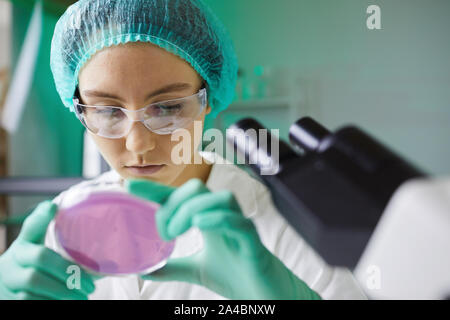 Portrait of young female scientist à la recherche dans la boîte de pétri en travaillant sur la recherche en laboratoire, copy space Banque D'Images