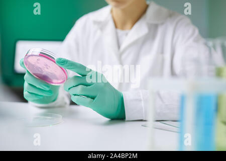 Close up of méconnaissable woman holding petri tout en travaillant sur la recherche médicale, au laboratoire, copy space Banque D'Images