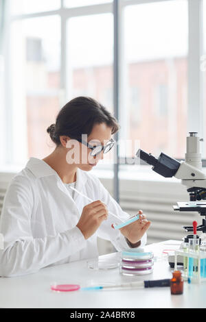 Vue de côté portrait de belle jeune femme travaillant en laboratoire, la préparation des échantillons de test dans la boîte de Pétri pour microscope recherche, copy space Banque D'Images