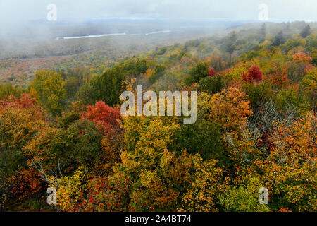 Feuillage de l'automne dans les monts Adirondacks, New York, USA Banque D'Images