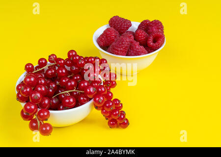 Deux bols blancs avec un peu de cassis et de fruits framboise sur une surface Banque D'Images